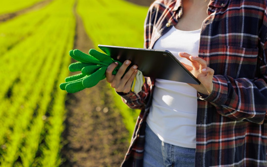A competitividade no agronegócio brasileiro será impactada